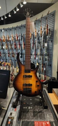 Epiphone - TBD5VSBH